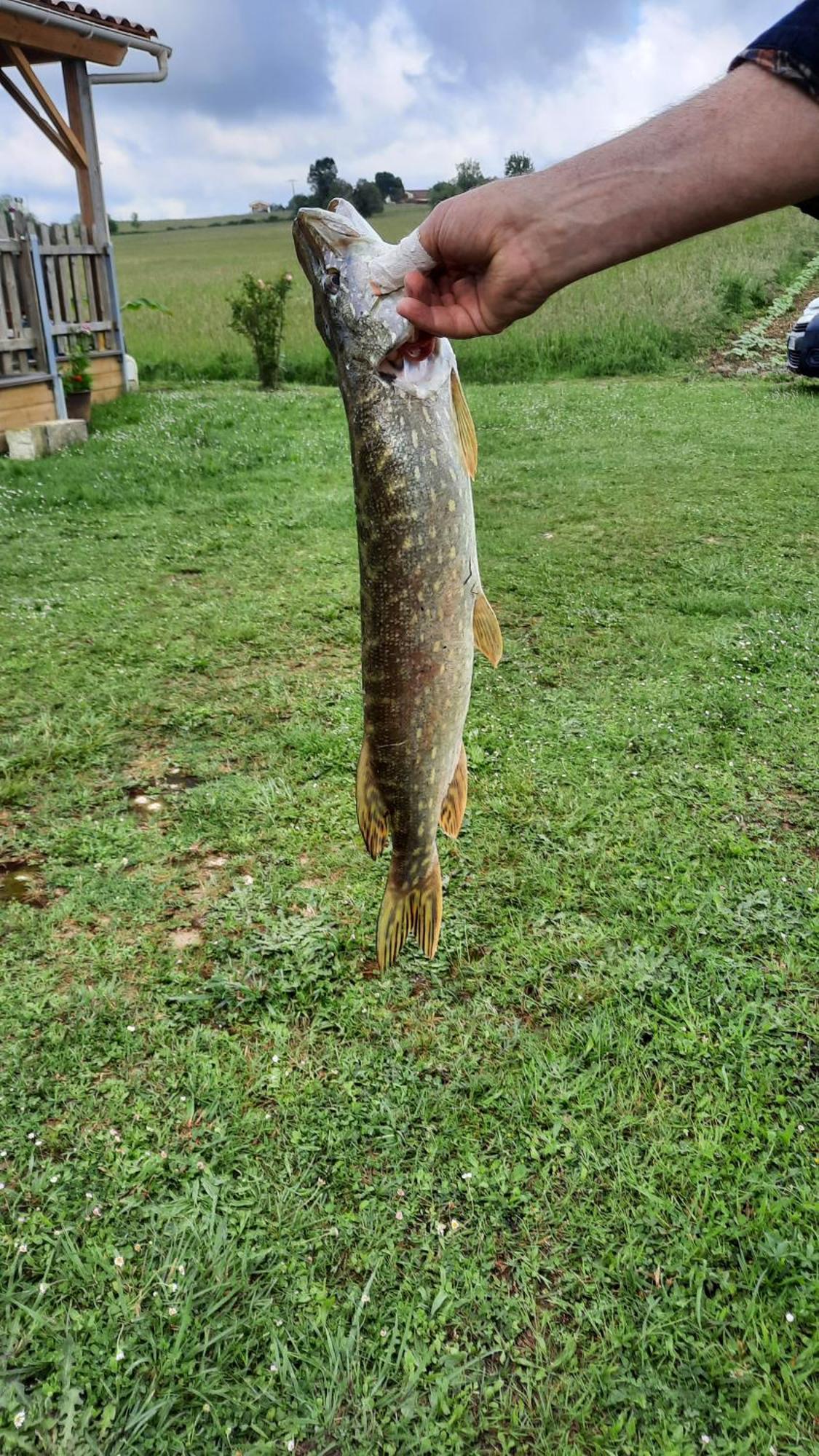 Etang Pre De La Font Hotel Cercles Buitenkant foto